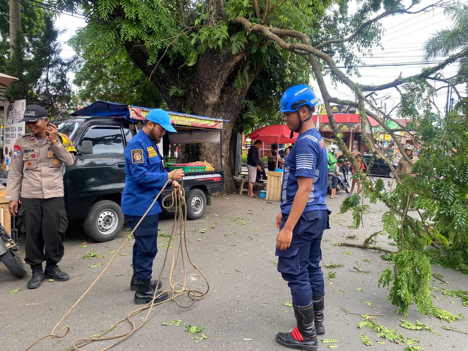 Disdamkar Garut Imbau Warga Waspadai Pohon Tua Saat Hujan Deras