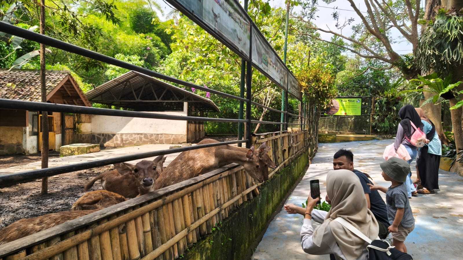 Kolaborasi Hijau di Garut, Taman Satwa Cikembulan–Super Indo Salurkan Pakan Satwa Lewat Food Recycle
