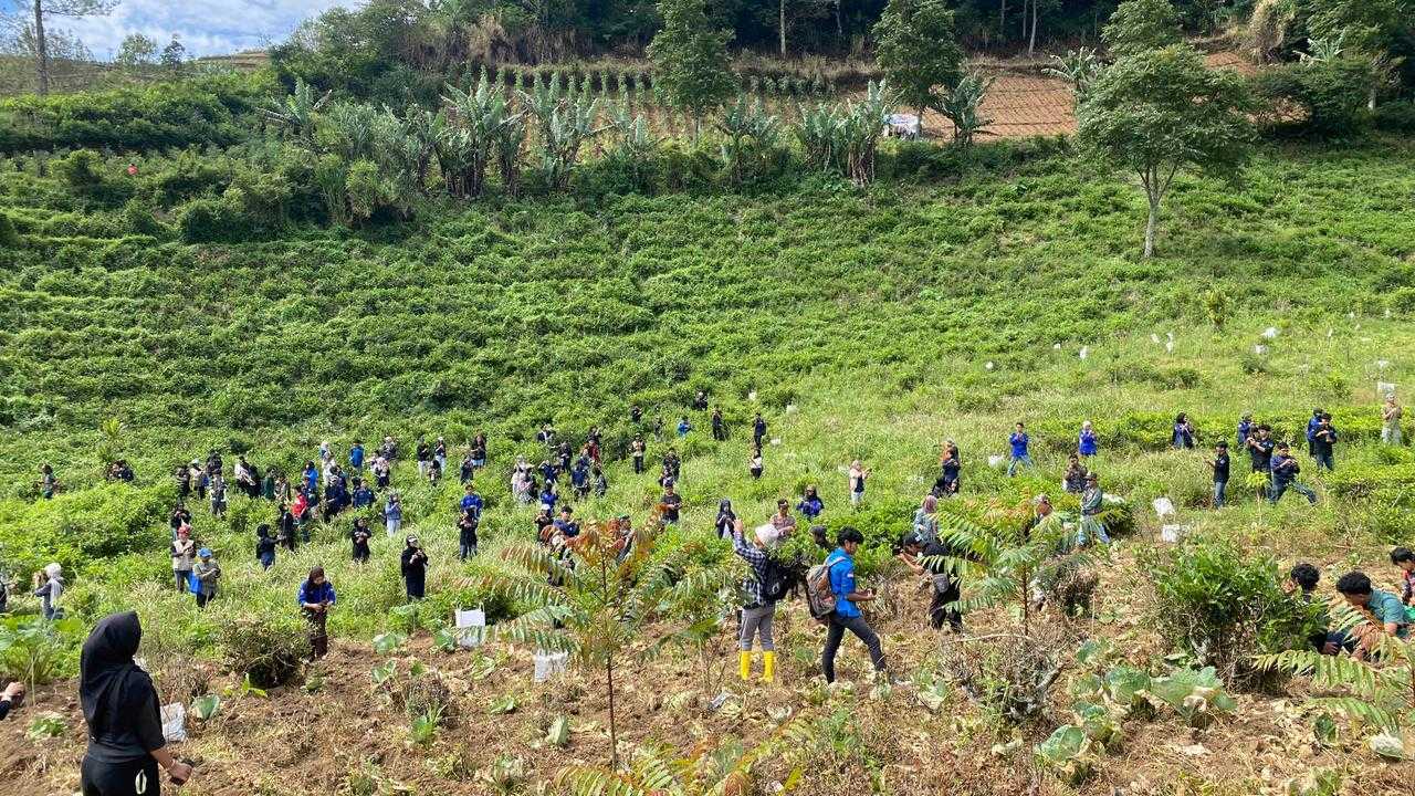 Mahasiswa Garut Gelar Aksi “Tanam Kontribusi” Peringati Hari Sejuta Pohon Sedunia